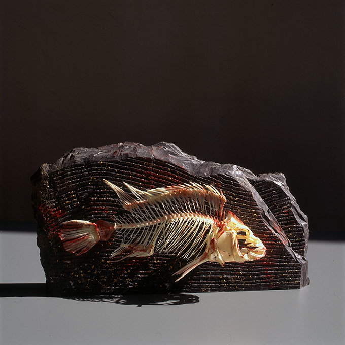 Homenaje a Obregón. Mármol, pescado, laminilla de oro, 25 x 46 x 8 cm.