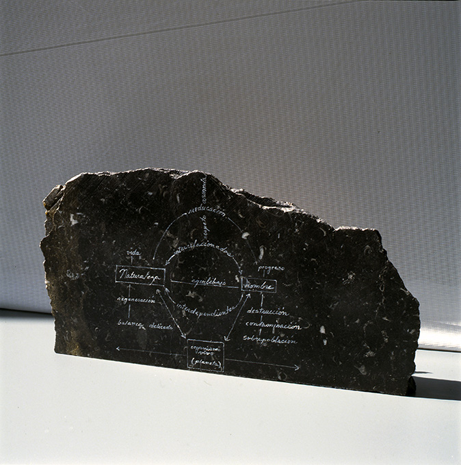 Homenaje a Obregón, vista posterior.
Mármol, pescado, laminilla de oro, 25 x 46 x 8 cm.